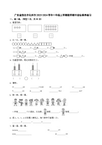 76，广东省茂名市化州市2023-2024学年一年级上学期期中综合素养数学试题