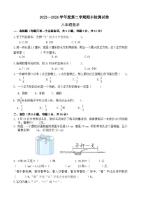 期末模拟试卷（试题）-2023-2024学年六年级下册数学北师大版