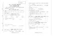 广东省茂名市2023—2024学年三年级上学期数学期末试卷
