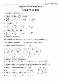 2022-2023学年松雷中学六年级下学期2月22日开学考数学试卷和答案