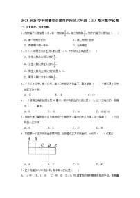 安徽省合肥市庐阳区2023-2024学年六年级上学期期末数学试卷