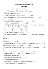 六年级下册数学人教版小升初综合复习(试题)-