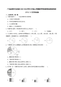 广东省深圳市龙岗区2023-2024学年六年级上学期数学学科素养形成阶段巩固（5~6）11月月考试卷