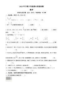 2023-2024学年湖南省邵阳市新邵县苏教版六年级上册期末测试数学试卷（原卷+解析）