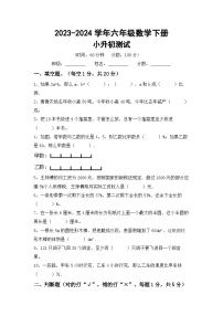 小升初测试卷(试题)-+2023-2024学年六年级数学下册冀教版