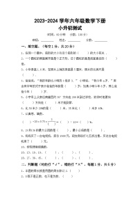 小升初测试题（试题）-2023-2024学年六年级下册数学西师大版