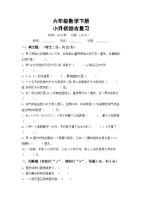 小升初复习(试题)+-2023-2024学年六年级数学下册人教版+