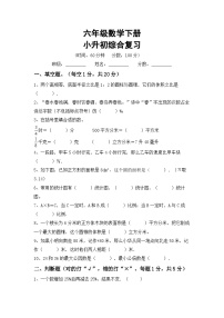 小升初复习(试题)+-2023-2024学年六年级下册数学北师大版