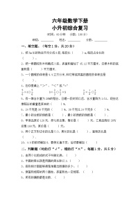 小升初复习（试题）-2023-2024学年+-六年级下册数学冀教版