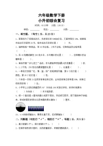 小升初综合复习(试题)+-2023-2024学年六年级数学下册人教版+