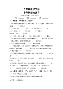 小升初综合复习（试题）-2023-2024学年+六年级下册数学北京版