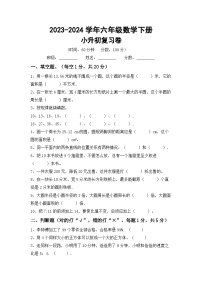 小升初复习(试题)-+2023-2024学年六年级数学下册人教版+