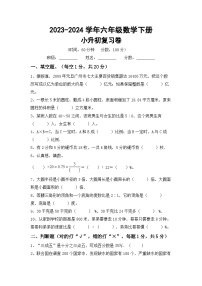 小升初复习(试题)-+2023-2024学年六年级数学下册苏教版+