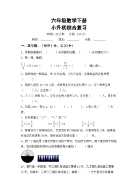 小升初复习(试题)-+2023-2024学年六年级下册数学人教版