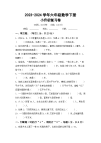 小升初综合复习(试题)-2023-2024学年六年级下册数学西师大版.1