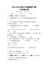 小升初复习卷(试题)-+2023-2024学年六年级数学下册西师大版+