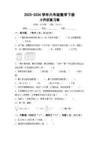 小升初复习题(试题)-+2023-2024学年六年级数学下册苏教版+