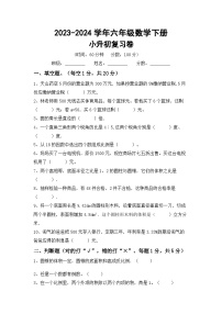 小升初综合复习(试题)-+2023-2024学年六年级数学下册苏教版+