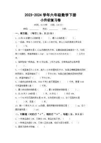 小升初综合复习卷(试题)-+2023-2024学年六年级数学下册苏教版+