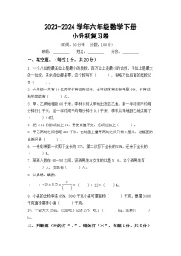 小升初综合复习卷(试题)-+2023-2024学年六年级数学下册北京版