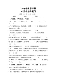 小升初综合复习(试题)-+2023-2024学年六年级下册西师大版数学