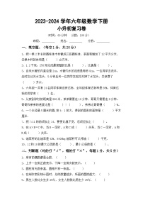 小升初综合复习(试题)-2023-2024学年六年级下册数学北师大版