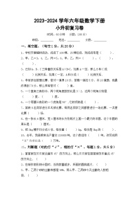 小升初综合复习(试题)-2023-2024学年六年级下册数学北京版.1