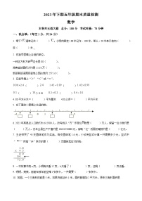 2023-2024学年湖南省邵阳市新邵县苏教版五年级上册期末测试数学试卷（原卷+解析）