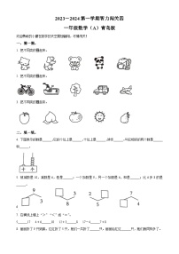 2023-2024学年山东省德州市宁津县校联考青岛版一年级上册期末联考数学试卷（原卷+解析）