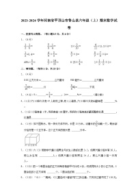 河南省平顶山市鲁山县2023-2024学年六年级上学期期末数学试卷