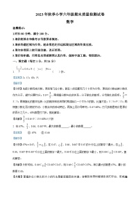 55，2023-2024学年湖南省邵阳市邵阳县苏教版六年级上册期末测试数学试卷