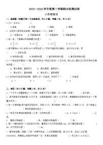 六年级下册数学北师大版期末模拟试卷（试题） (5)