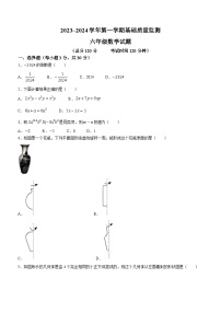 山东省东营市东营区2023-2024学年六年级上学期期末数学试题(无答案)