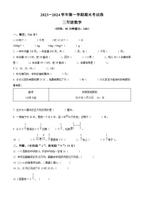 2023-2024学年河南省周口市郸城县等校西师大版三年级上册期末考试数学试卷（原卷+解析）