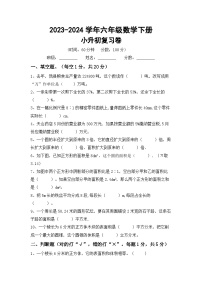 小升初(试题)-+2023-2024学年六年级下册北师大版数学