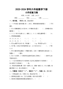 小升初+(试题)2023-2024学年六年级下册冀教版数学