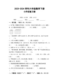 小升初+综合复习卷(试题)-+2023-2024学年六年级下册数学北师大版