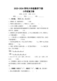 小升初综合复习（试题）+2023-2024学年六年级数学下册北京版+