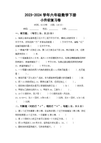 小升初综合复习（试题）-2023-2024学年六年级下册北京版数学