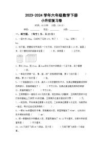 小升初综合复习卷+(试题)-+-2023-2024学年六年级数学下册冀教版+