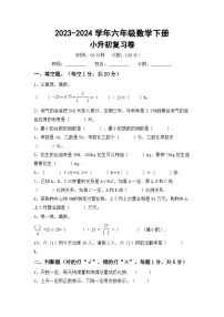 小升初综合复习卷+(试题)-+2023-2024学年六年级下册数学冀教版