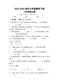 小升初复习卷（试题）2023-2024学年六年级数学下册北京版+