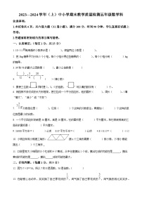 2023-2024学年陕西省咸阳市泾阳县北师大版五年级上册期末测试数学试卷（原卷版+解析版）