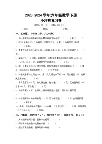 小升初综合复习（试题）-2023-2024学年六年级下册苏教版数学