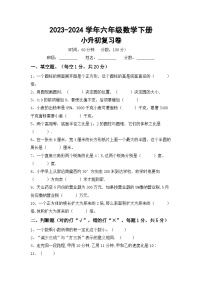 小升初综合复习（试题）-2023-2024学年六年级下册数学北京版