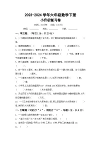 小升初综合复习（试题）-2023-2024学年六年级下册数学北京版