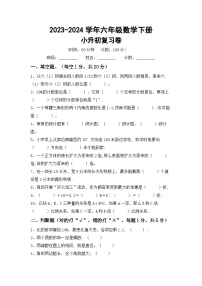 小升初综合复习（试题）-2023-2024学年六年级下册西师大版数学.1