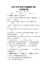 小升初综合复习卷（试题）-2023-2024学年六年级下册北京版数学