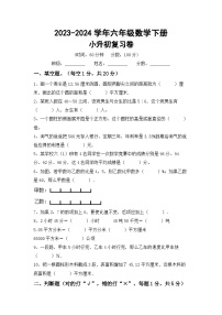 小升初综合复习（试题）-+2023-2024学年六年级数学下册西师大版+