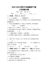 小升初综合复习题(试题)-2023-2024学年六年级下册数学北师大版.1